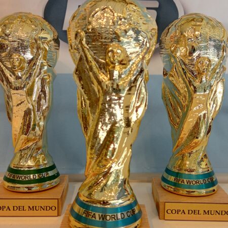 Copa del mundo 20 cm