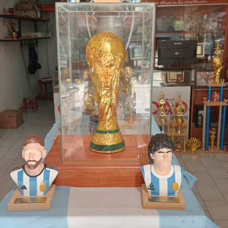 Copa del mundo 36 cm
