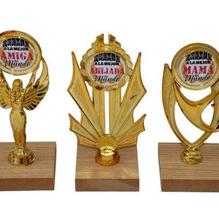 Trofeos Mejor del Mundo (Varios)